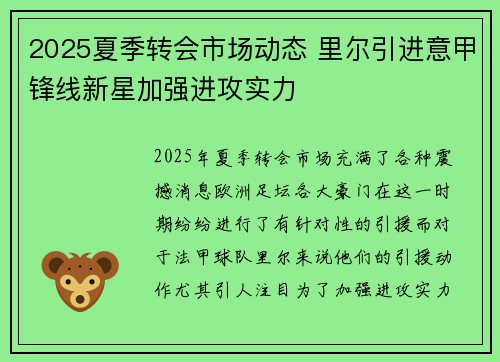2025夏季转会市场动态 里尔引进意甲锋线新星加强进攻实力